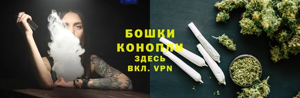 сатива Лагань