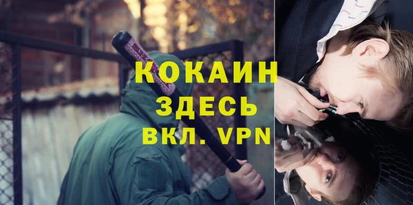 сатива Лагань