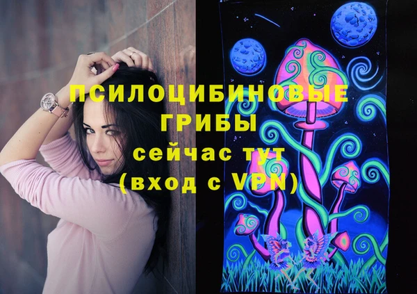 сатива Лагань